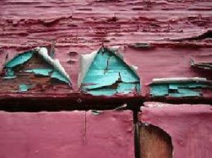 Seller's disclosure to a home buyer