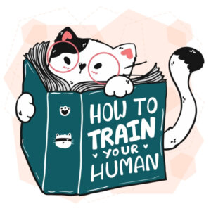 Tips for Wood Stove Users - CHIMNEYS.COM